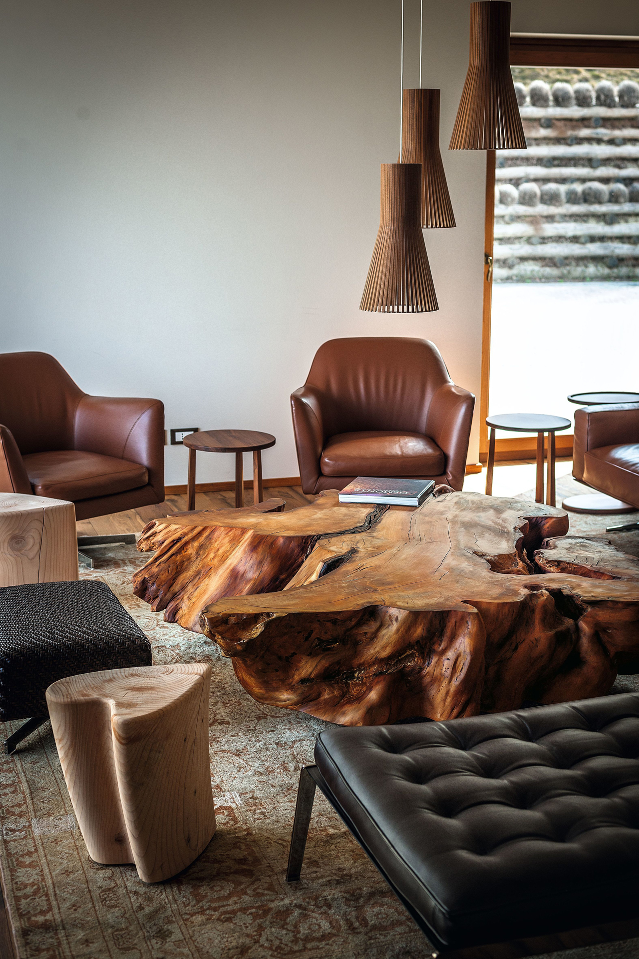 KAURI STUMP Gallery 4