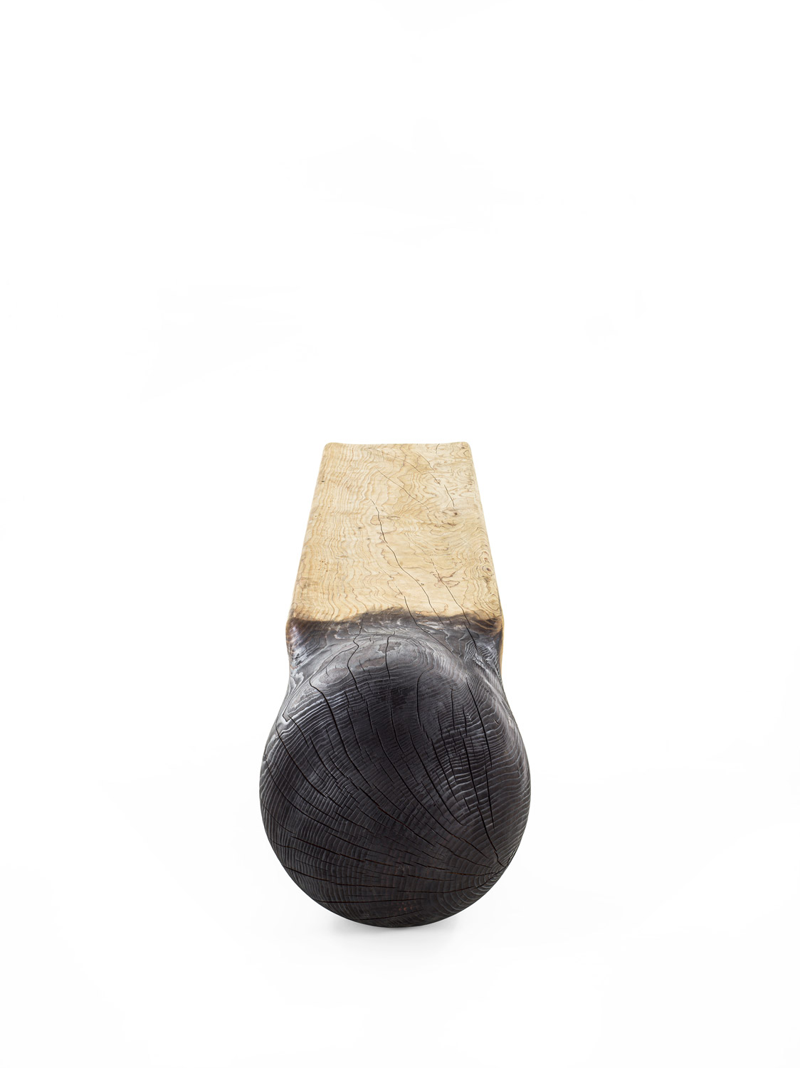 CE(D)RINO Gallery 3