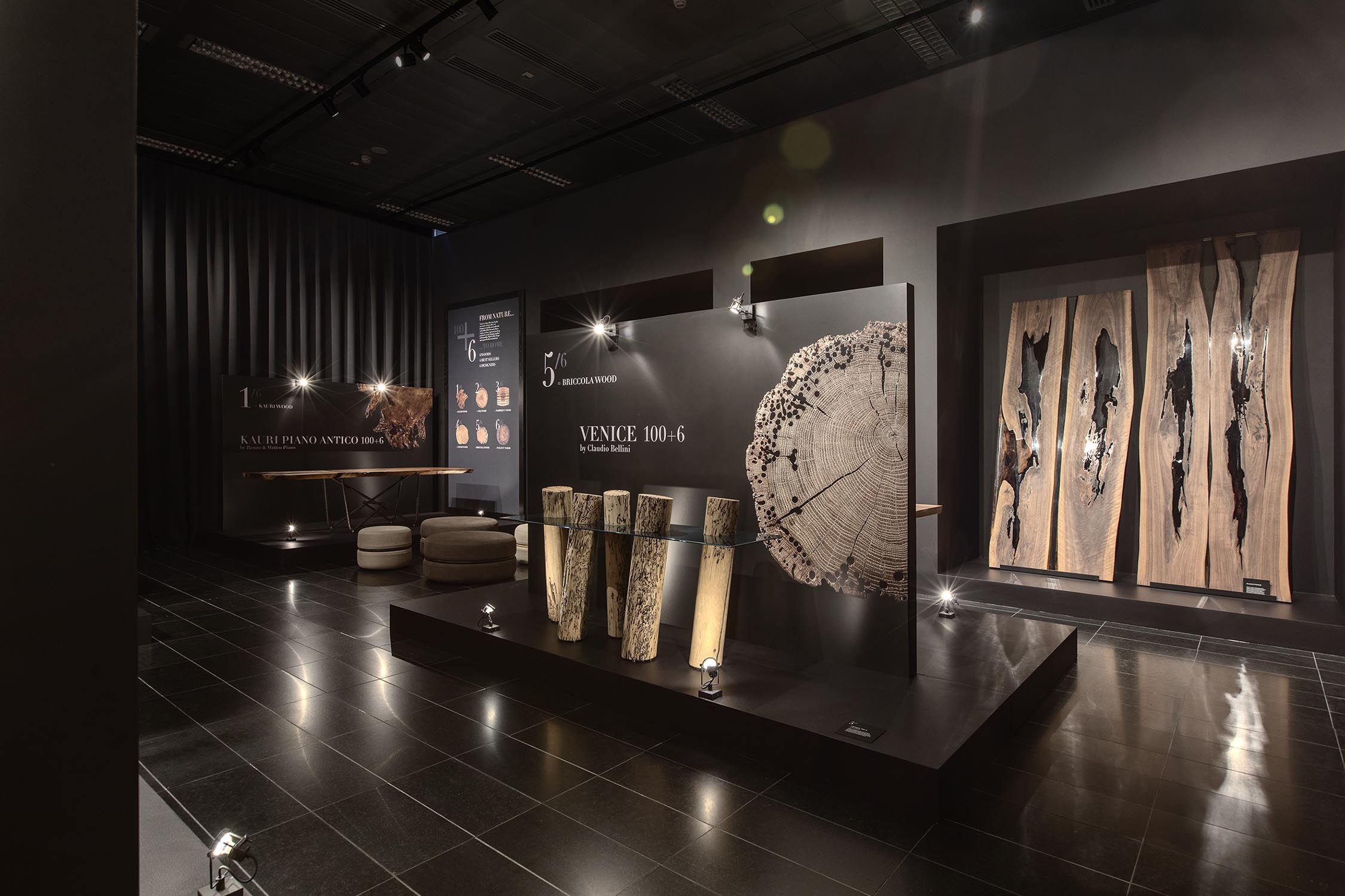 VENICE 100+6 Gallery 11